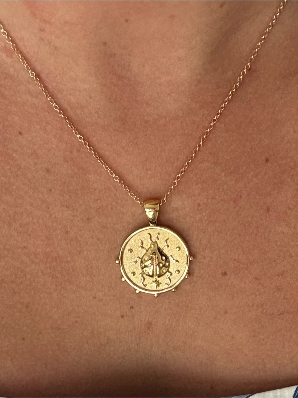 Jane Win LUCK Be a Ladybug JW Small Pendant Coin 16-18 inch chain - Picture 3 of 3
